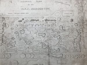 1938 Map of proposed Arboretum