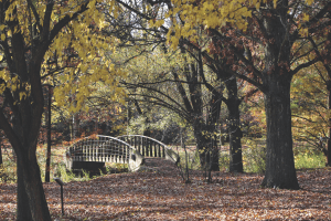 Scenic concrete bridge crosses over a river in a wooded area. The surrounding trees have orange and dark red leaves, hinting that it is autumn.
