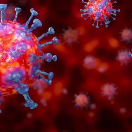 Impacts of the coronavirus pandemic on biodiversity conservation
