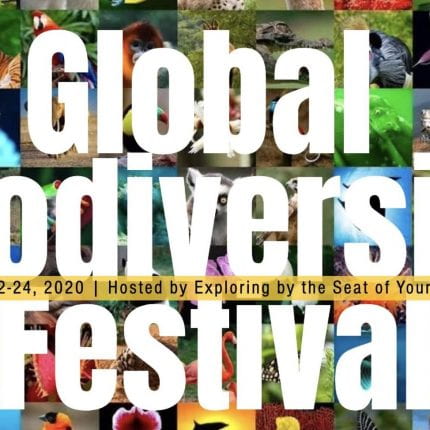 GlobalBioFest celebrates May 22nd: The International Day for Biological Diversity