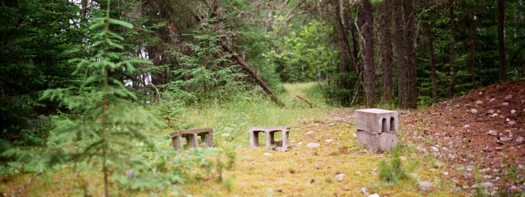 A photo of a path in a coniferous forest with green trees on either side of the path. There are brownish red needles and pale white stones lining the forest floor. Four cement blocks are scattered, or perhaps placed, in front of the path.