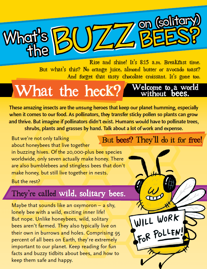 Image shows a poster with bright colours and different fonts, with text related to bees.