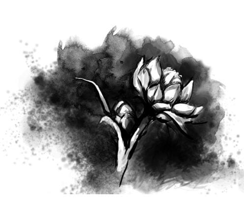 A black and white watercolor painting of a flower