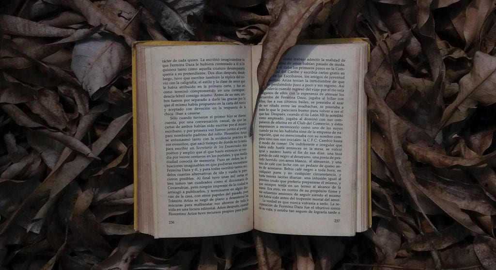 An open book with small typed text is open, laying on a pile of dark dried leaves. One leaf is covering the top of the page of the book, the natural texture and dark colour of the leaf contrasting to the white page and neat typed words. 